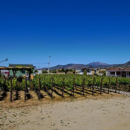 3333 Luz Del Valle Hotel Boutique Valle de Guadalupe Extérieur photo