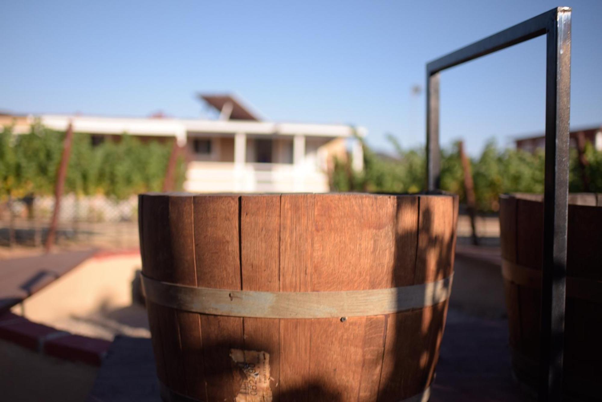 3333 Luz Del Valle Hotel Boutique Valle de Guadalupe Extérieur photo